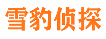 元宝市私家侦探